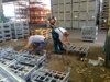 Logistic pallets